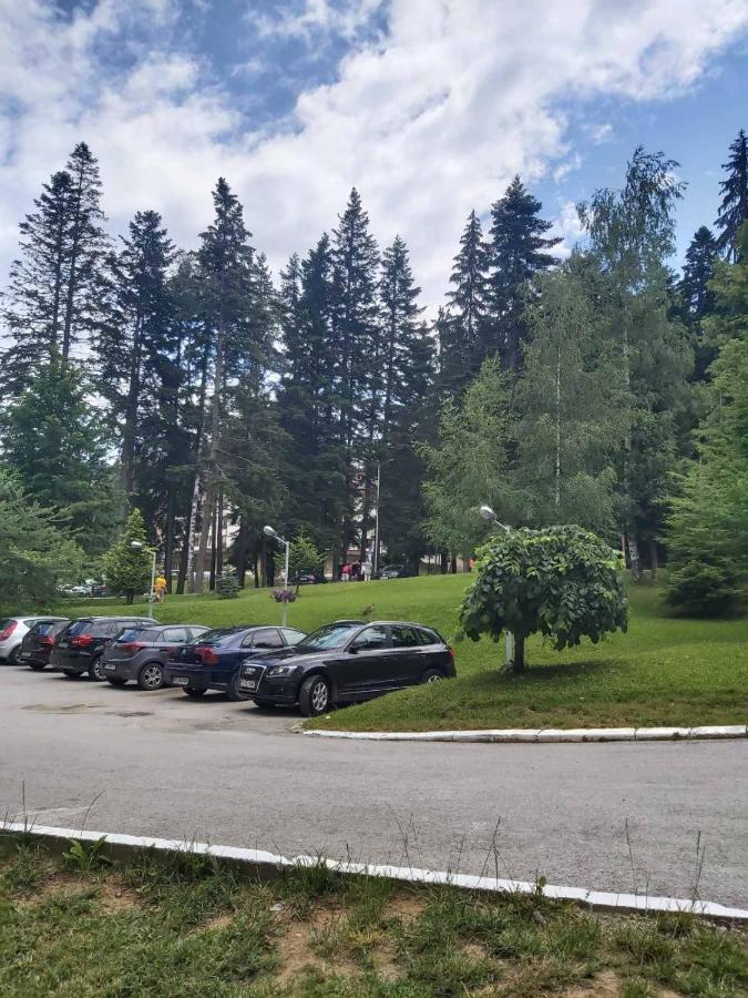 Premium Apartment In Borovets Gardens Complex ภายนอก รูปภาพ